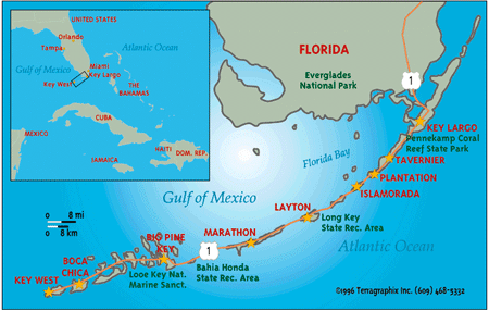 Deep Sea Islamorada Fishing Guide